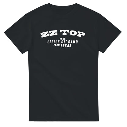 ZZ Top Camiseta Blues Rock Gira 2026 Unisex Premium